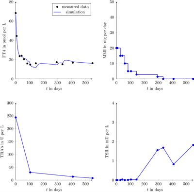 Mathematical Modeling of Free Thyroxine Concentrations During Methimazole Treatment for Graves’ Disease: Development and Validation of a Computer-Aided Thyroid Treatment Method